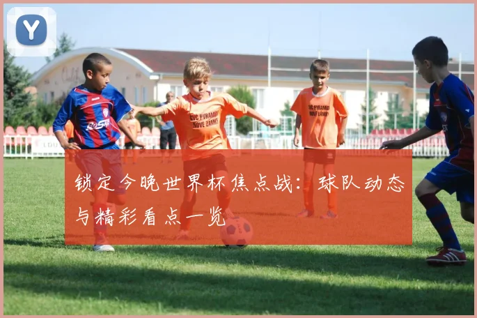 锁定今晚世界杯焦点战：球队动态与精彩看点一览
