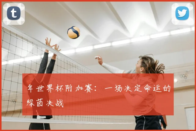 年世界杯附加赛：一场决定命运的绿茵决战