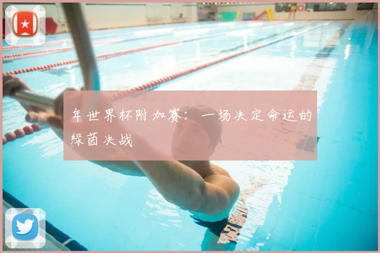 年世界杯附加赛:一场决定命运的绿茵决战