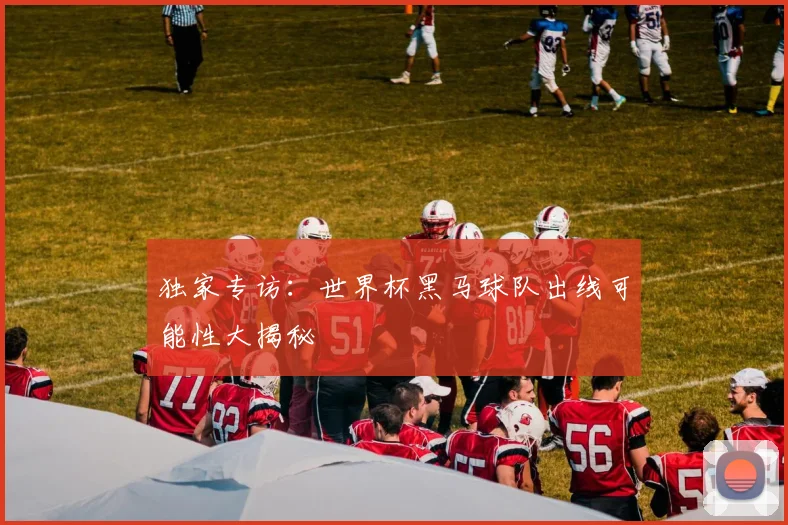 独家专访：世界杯黑马球队出线可能性大揭秘
