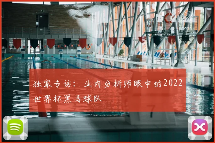 独家专访：业内分析师眼中的2022世界杯黑马球队