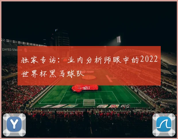 独家专访：业内分析师眼中的2022世界杯黑马球队