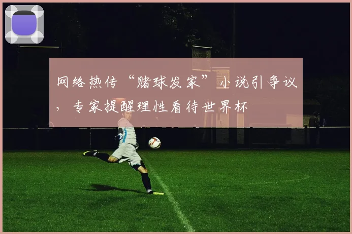 网络热传“赌球发家”小说引争议，专家提醒理性看待世界杯