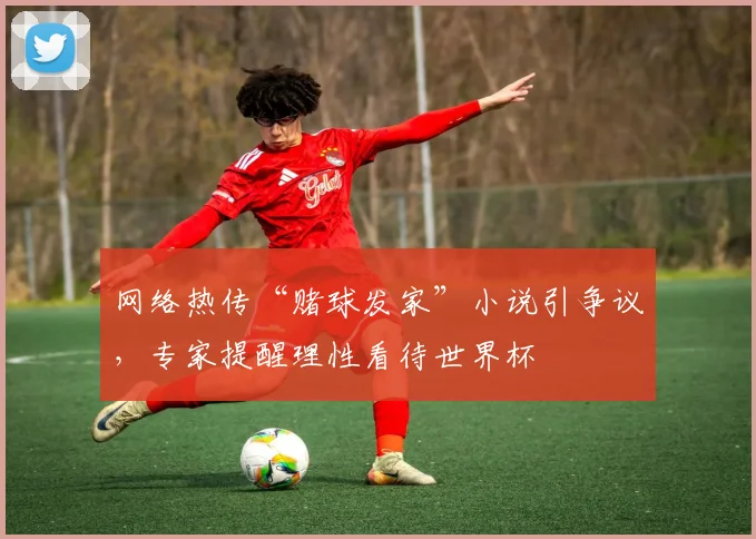 网络热传“赌球发家”小说引争议，专家提醒理性看待世界杯