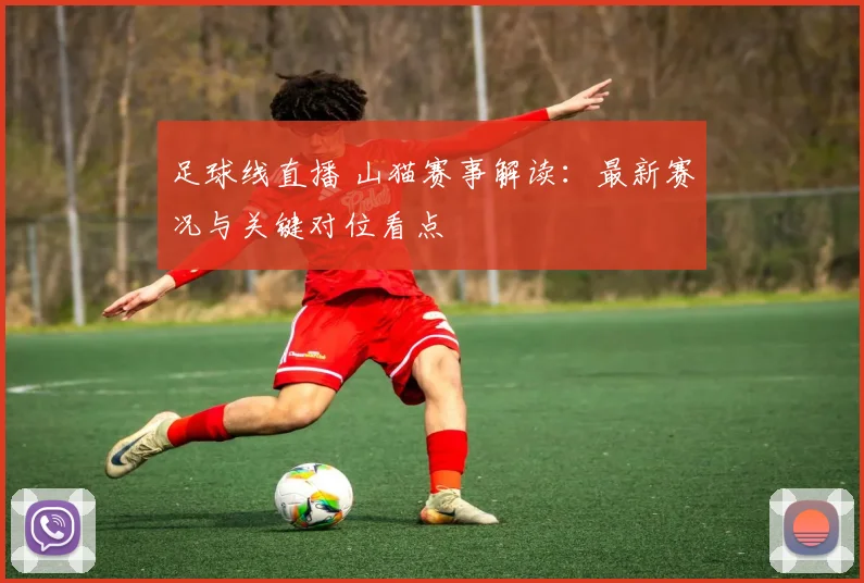 足球线直播 山猫赛事解读：最新赛况与关键对位看点